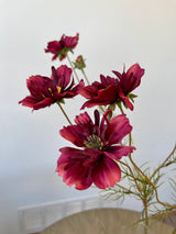 Burgundy Cosmos Spray With Bud