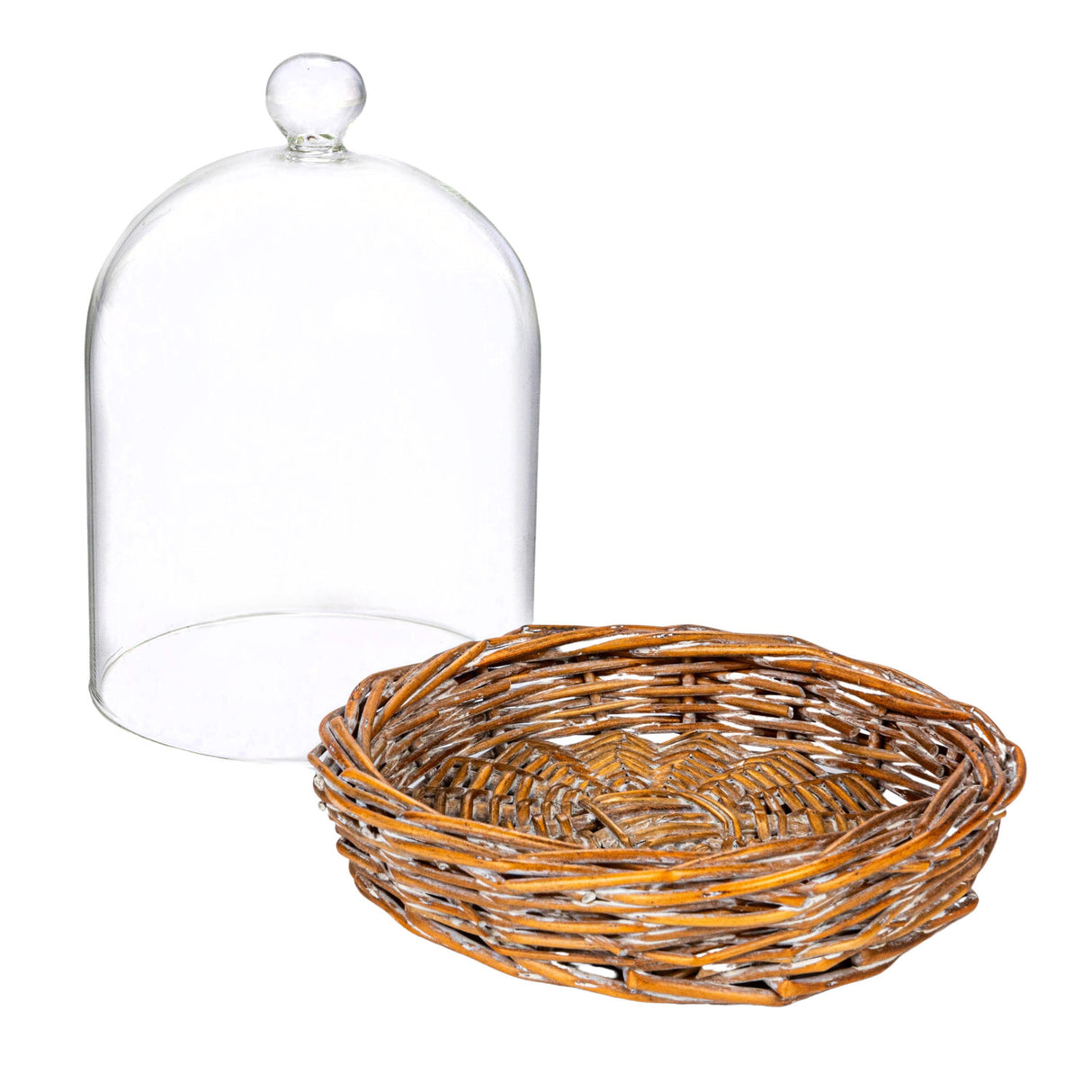 Willow & Glass Cloche