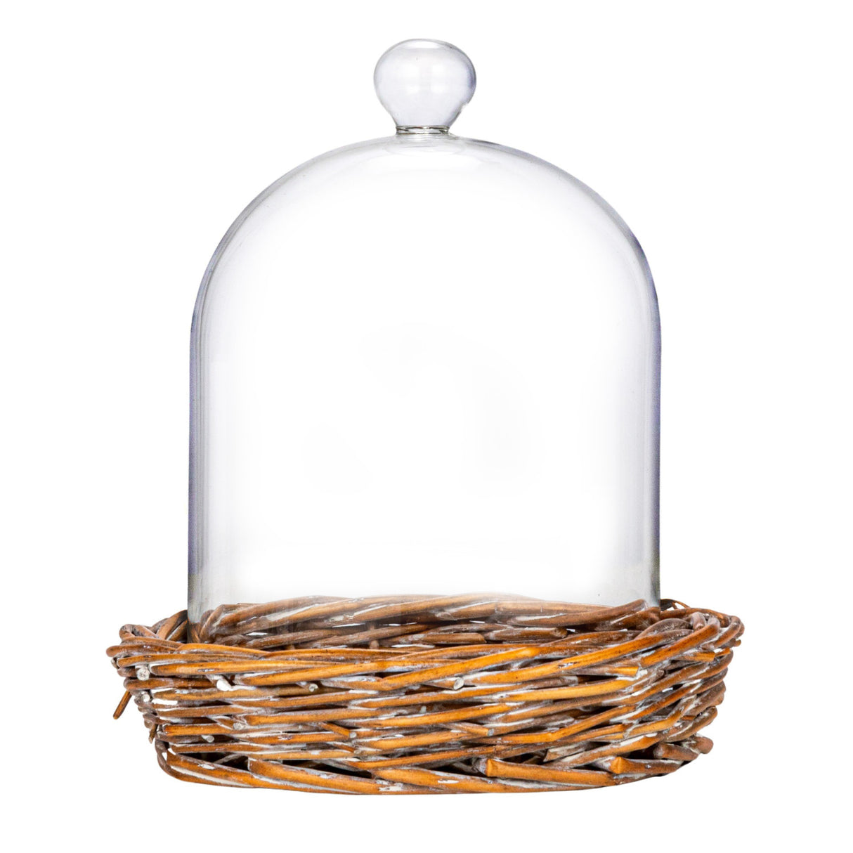 Willow & Glass Cloche