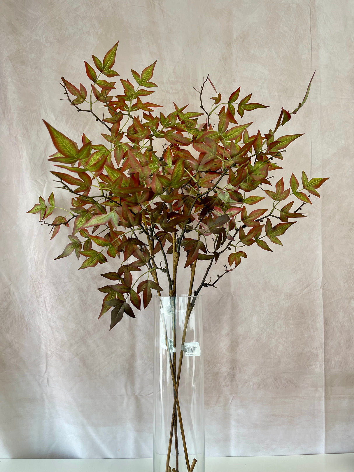 Green Brown Nandina Stem