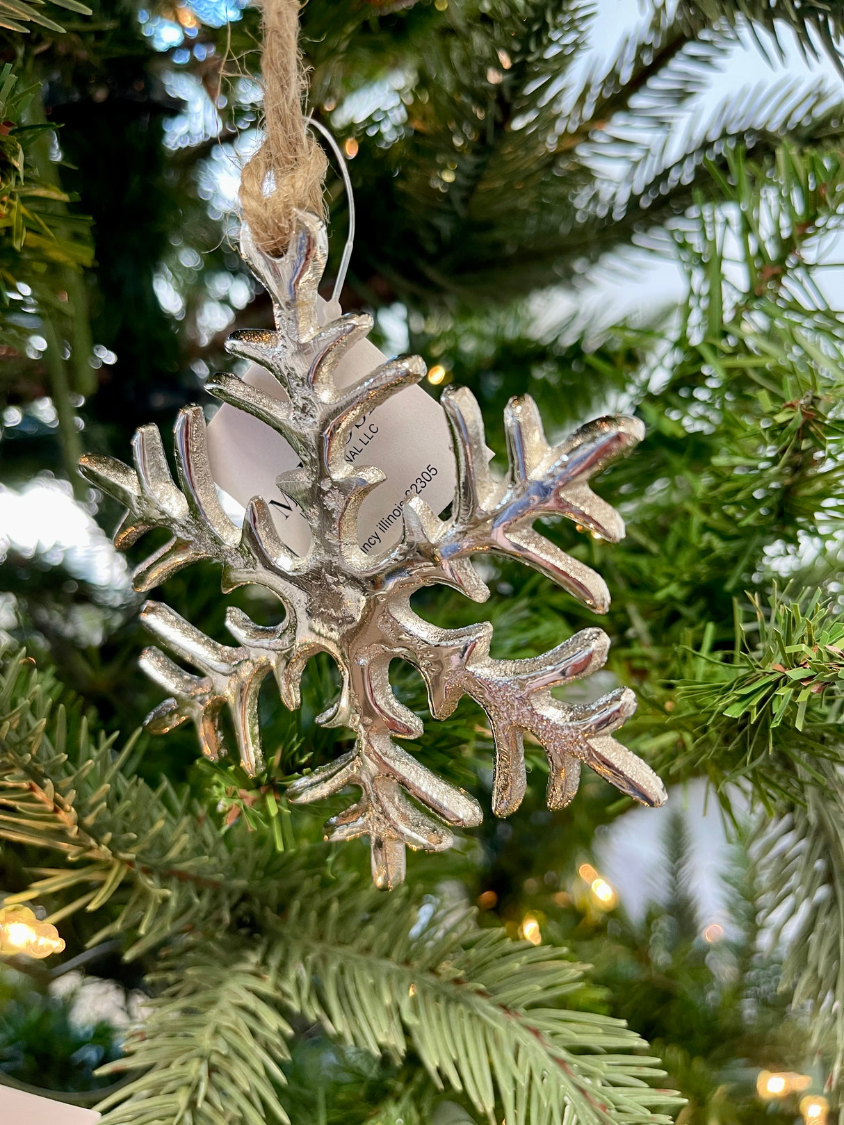 Silver Frost Snowflake Ornament Set of 2