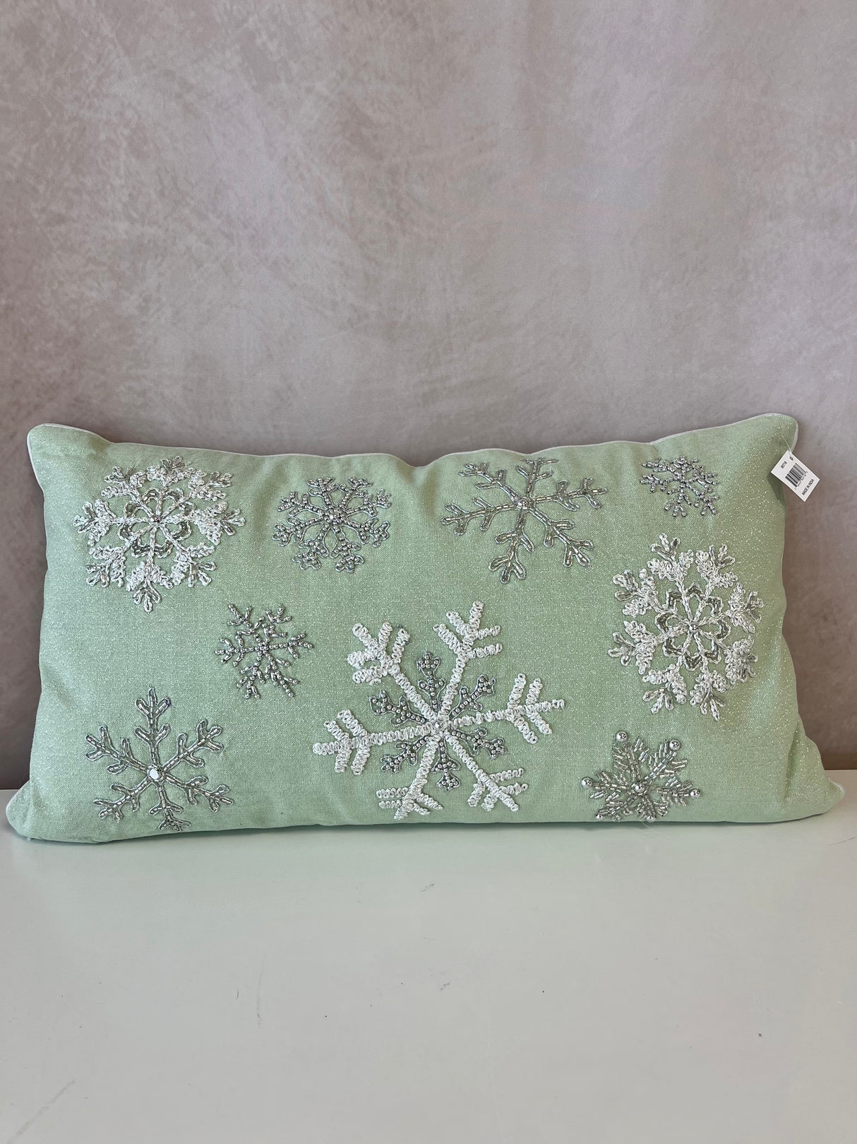 Frozen Delight Pillow