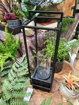Malibu Lantern