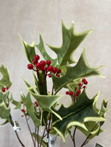 Advent Holly Spray