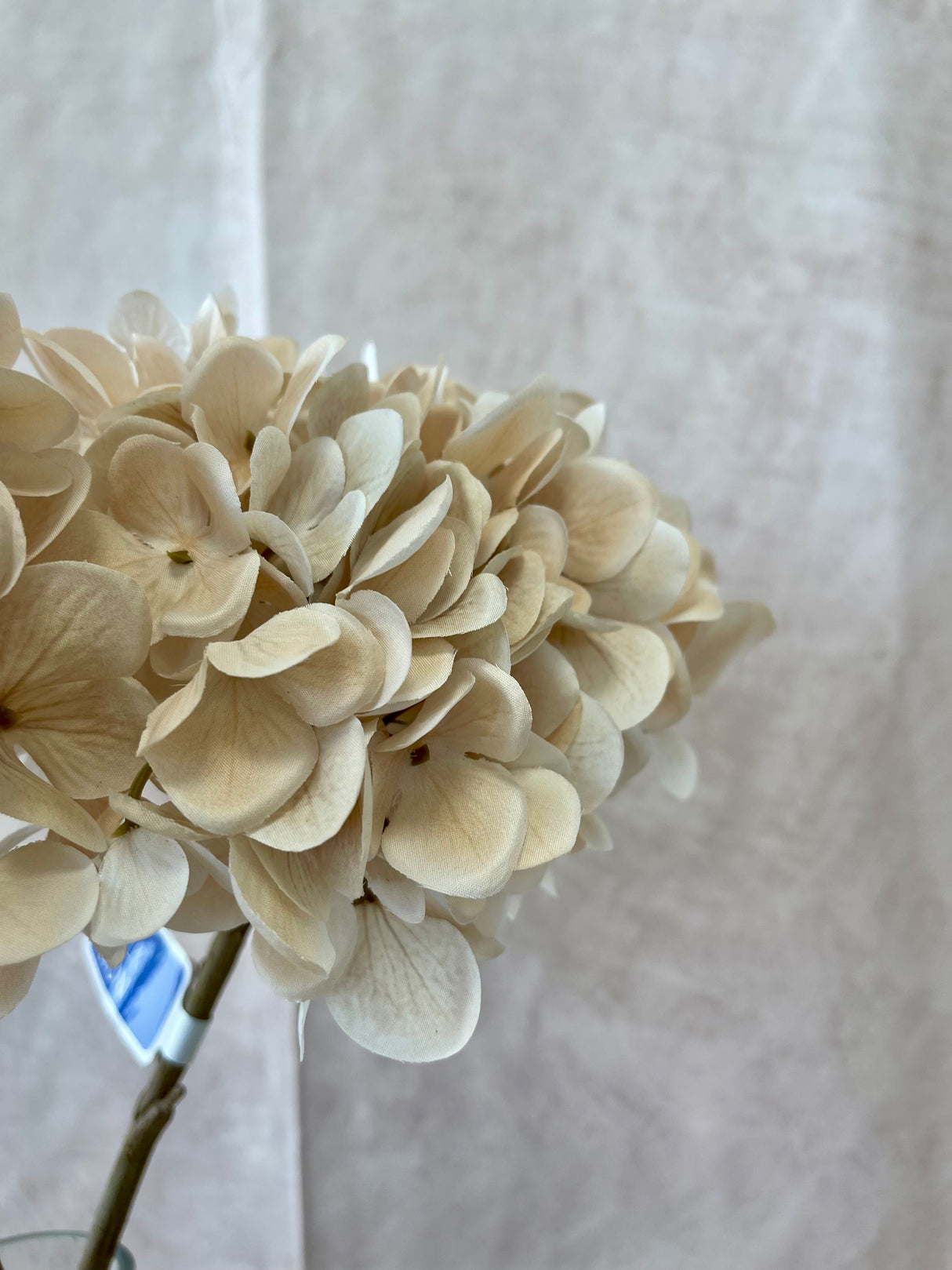 Warm Touch Hydrangea Spray