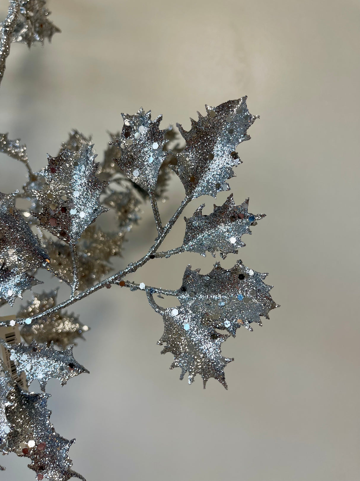 Christmas Carols Holly Spray