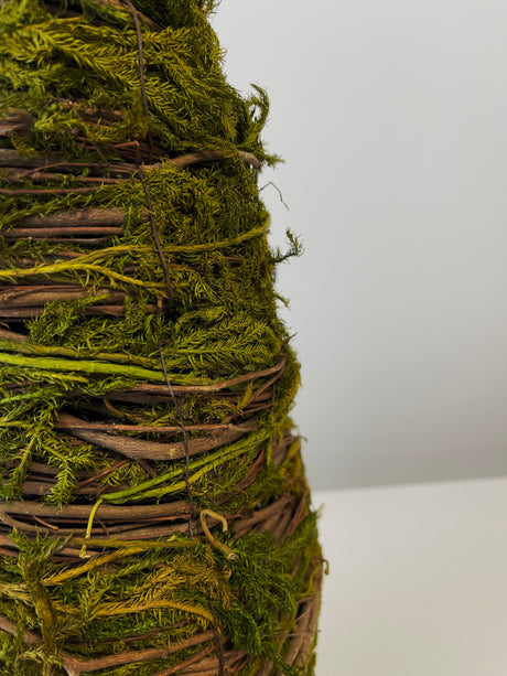 Moss Twig Cone Tree