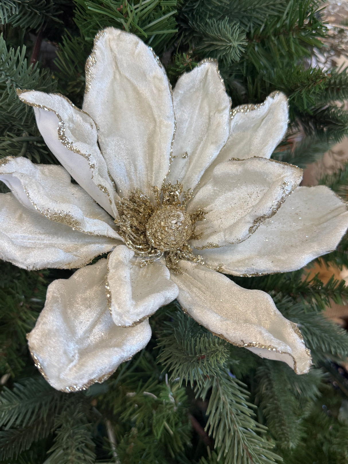 Ivory Long Stem Magnolia