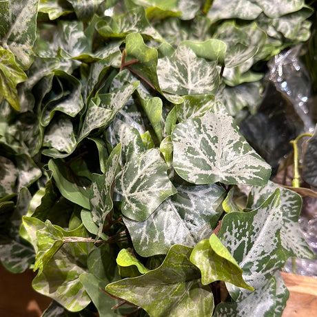Mini Frosted Hanging Ivy