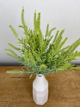 Sage Astilbe Bundle