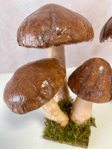 Rimini Mushroom Assortment