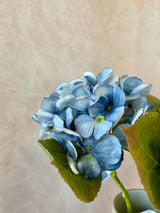 Blue Hydrangea Spray