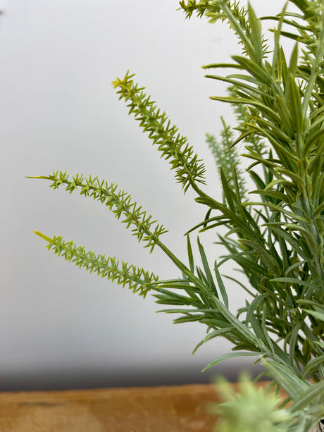 Sage Astilbe Bundle