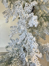 Snowy Hemingway Fir Wreath