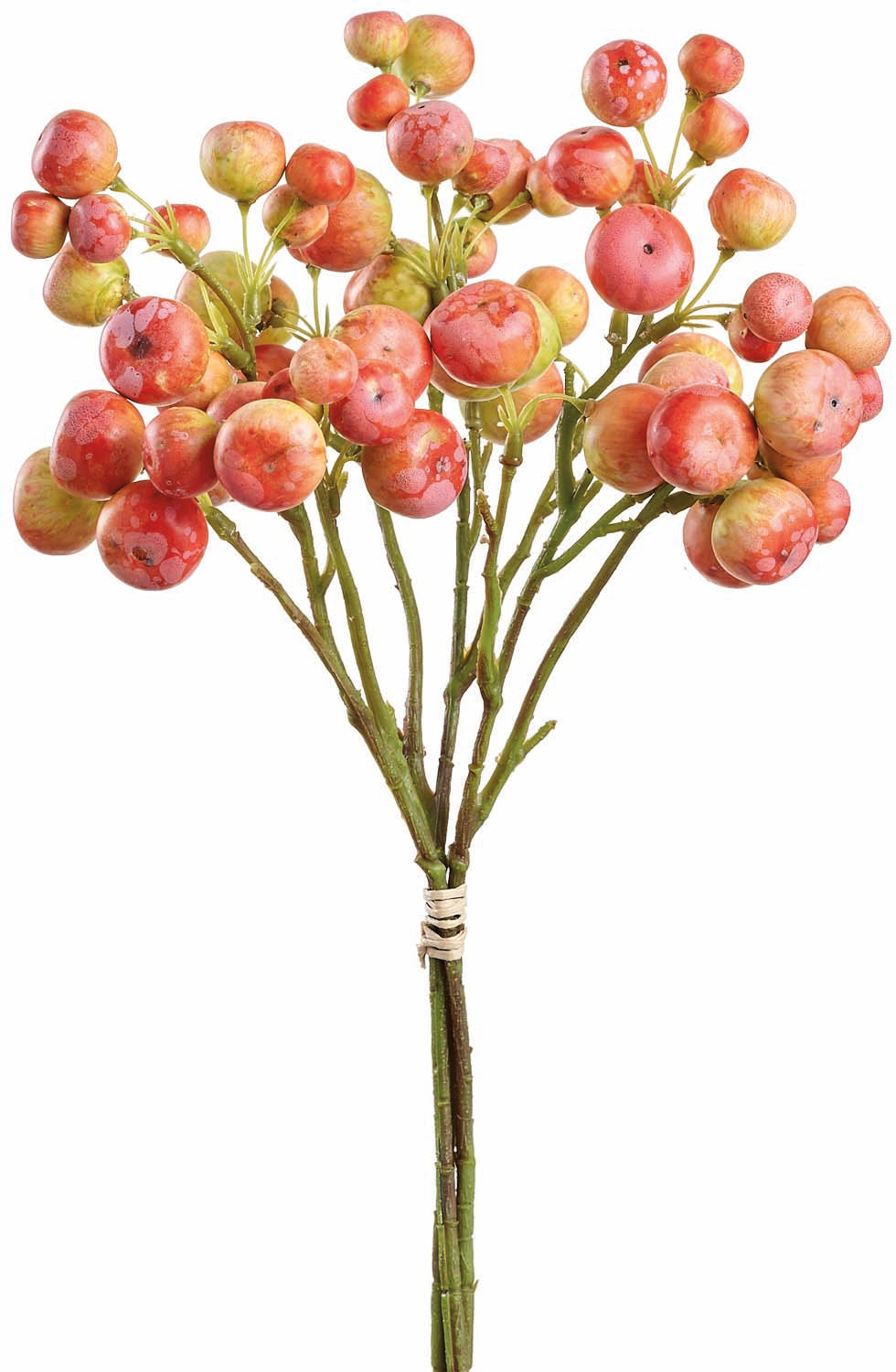 Orange Crabapple Bundle