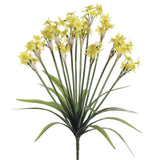 Yellow Narcissus Bush