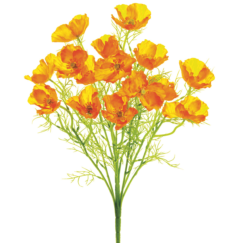 Vibrant Yellow Poppy Bush