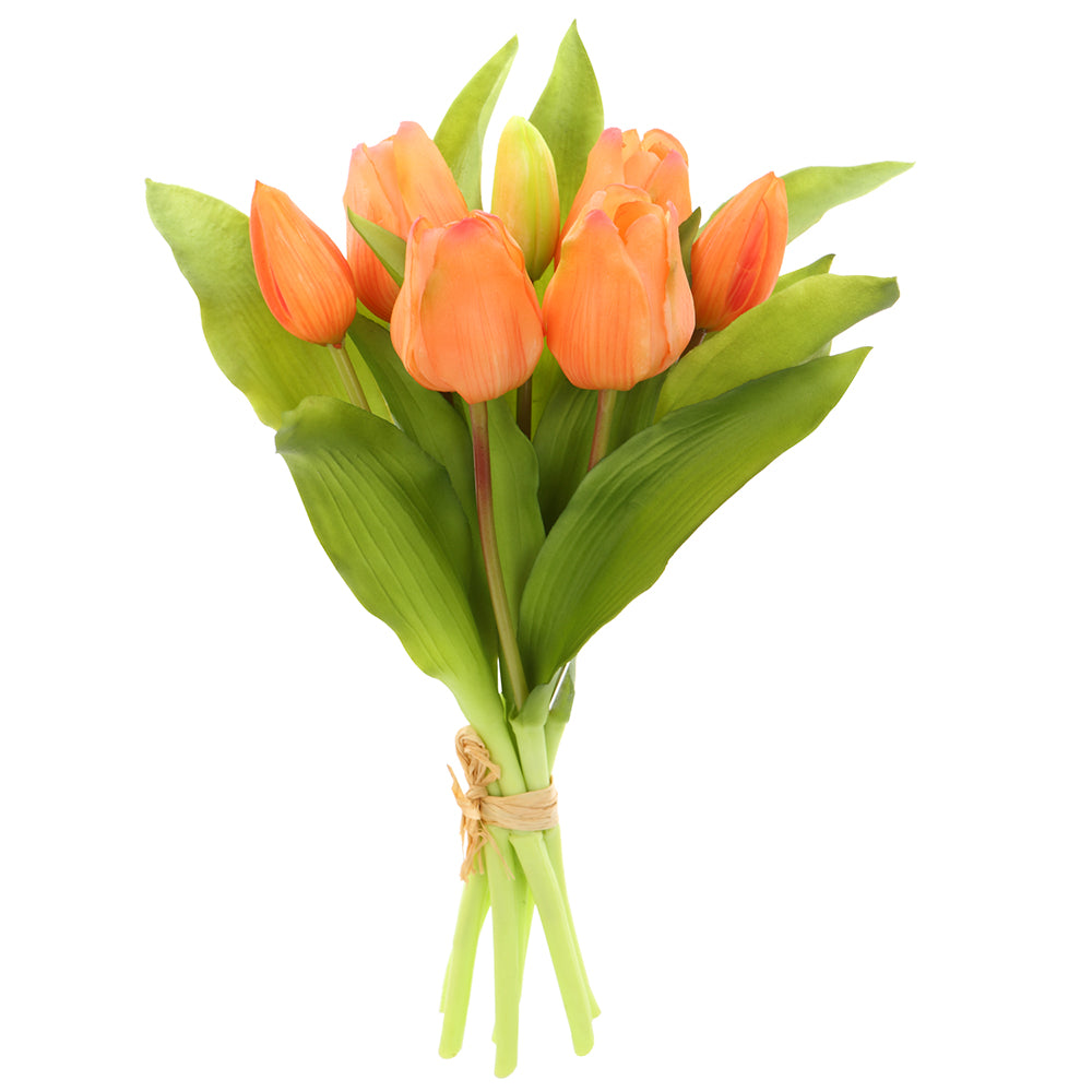 Apricot Tulip Bouquet