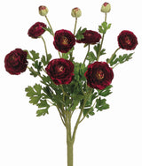 Burgundy Ranunculus Bush