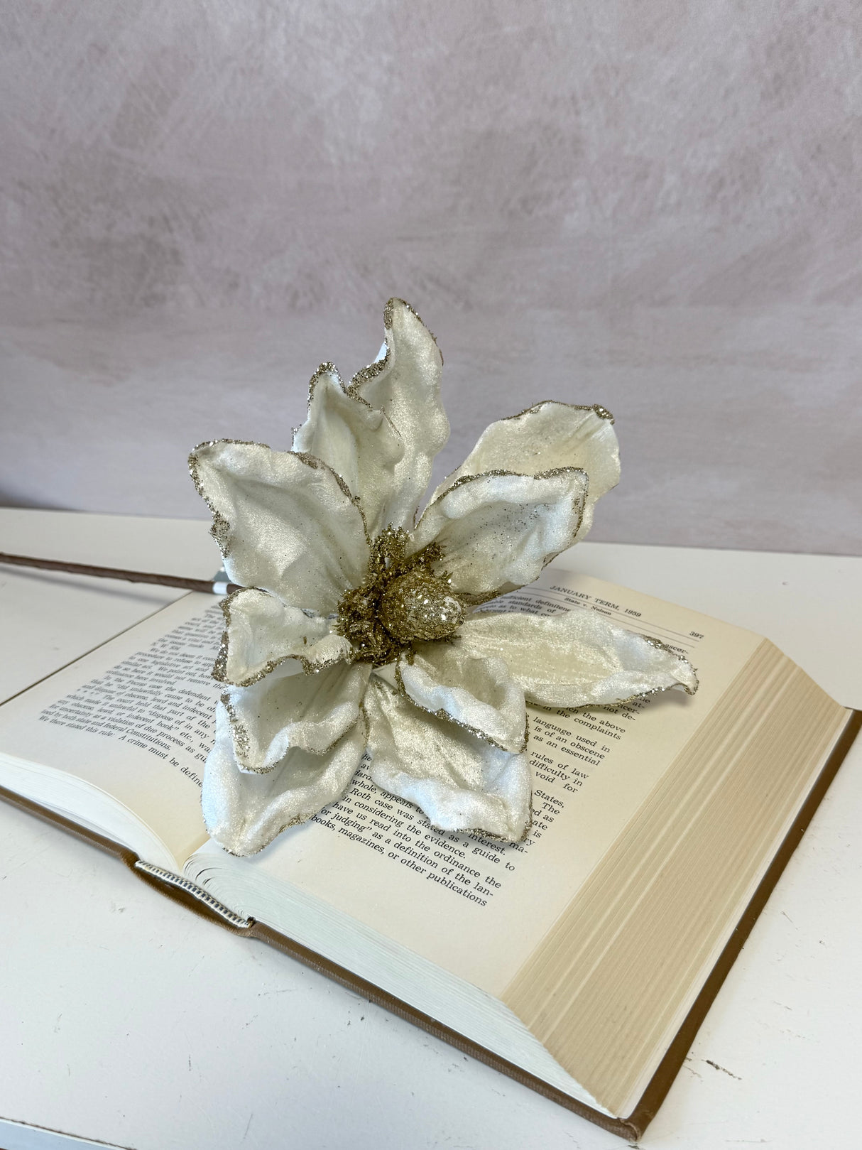 Ivory Long Stem Magnolia