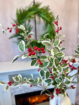 Nice List Variegated Holly Spray