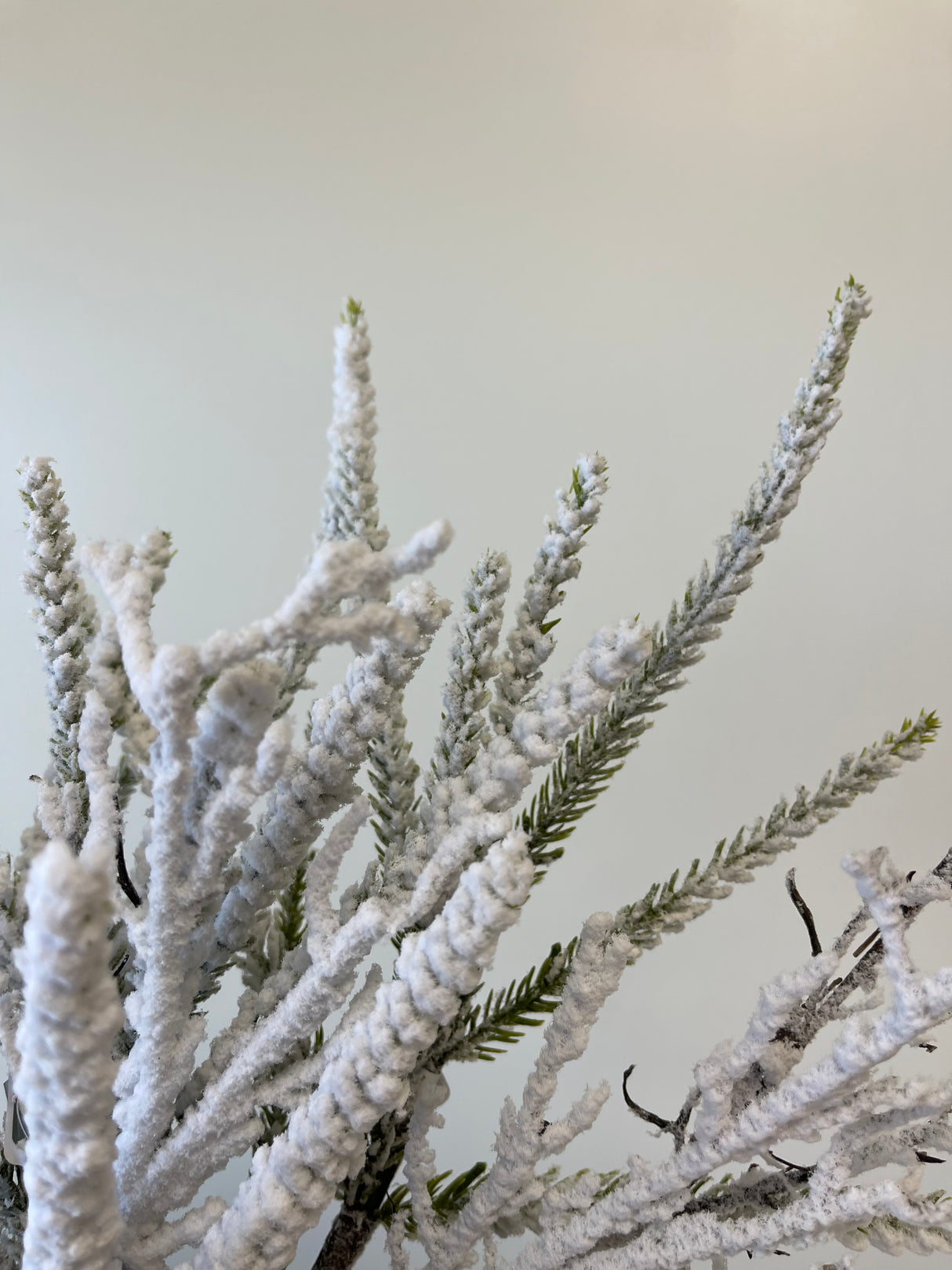 Snowed Twig Pine Spray