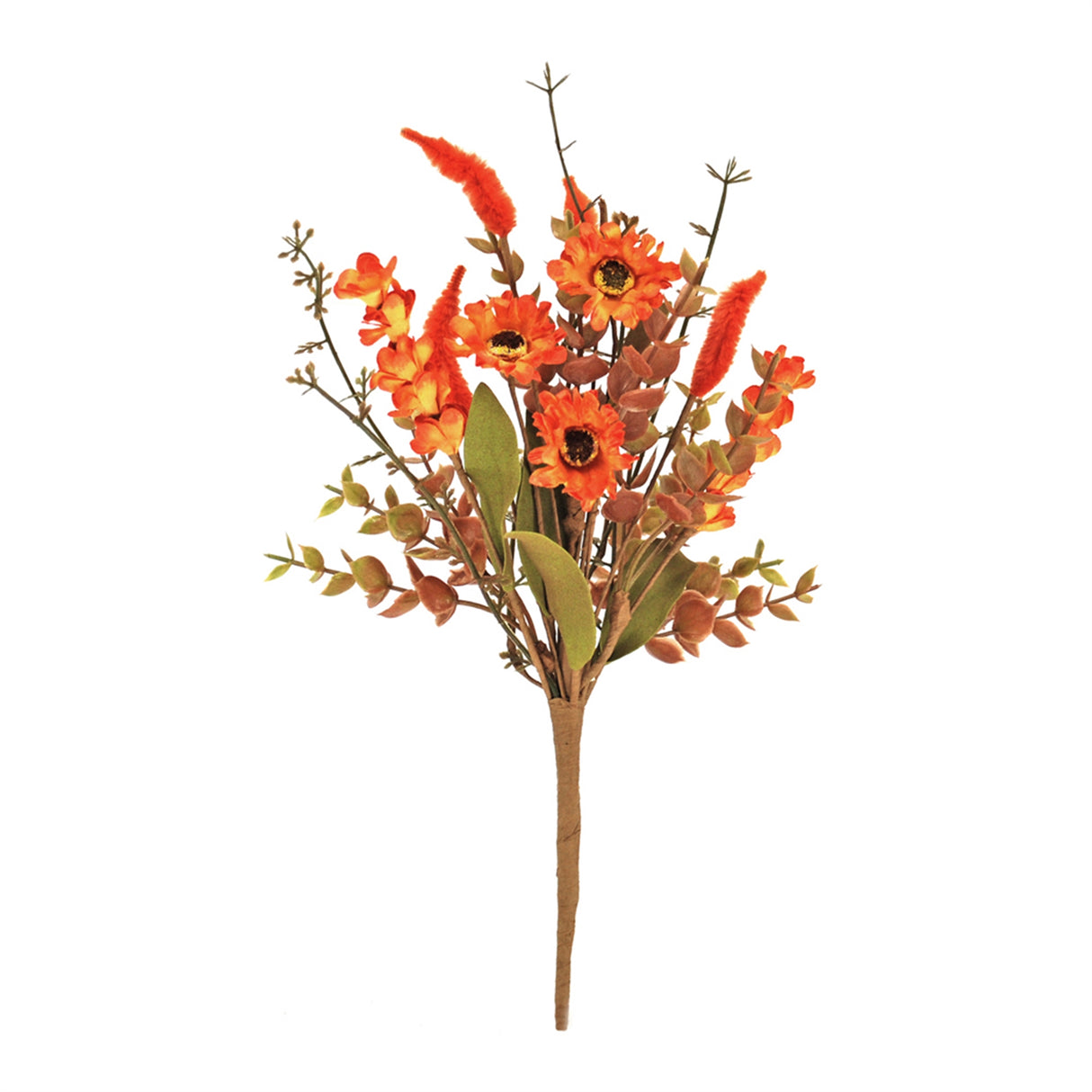 Trumpetvine and Sunflower Pick