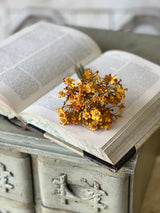 Golden Emmeline Stem Bundle