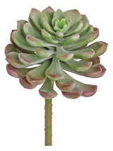 Sage & Burgundy Tear Leaf Succulent