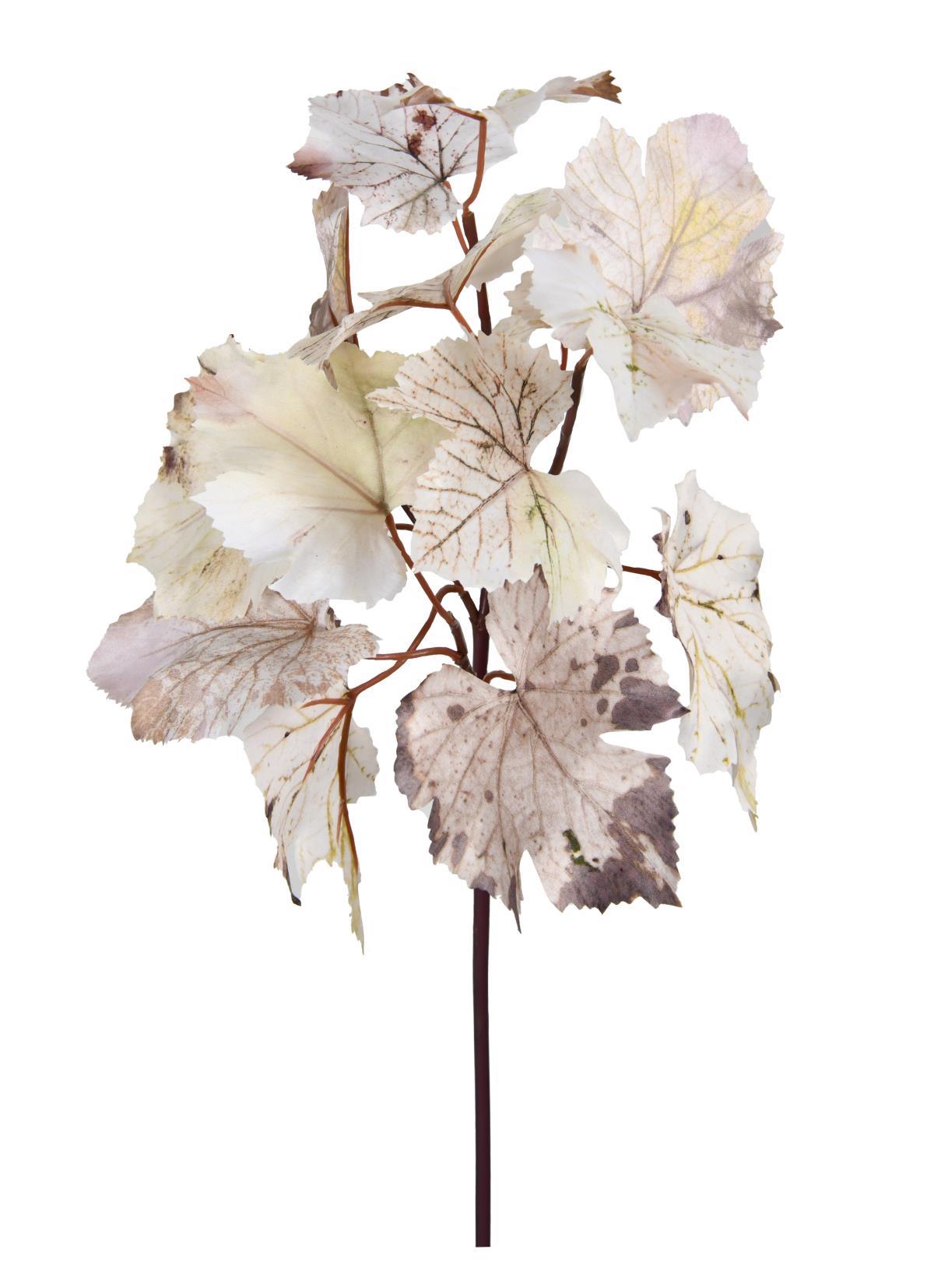 Cream Grape Leaf Spray