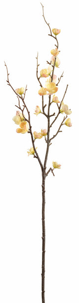 Soft Yellow Quince Blossom Spray