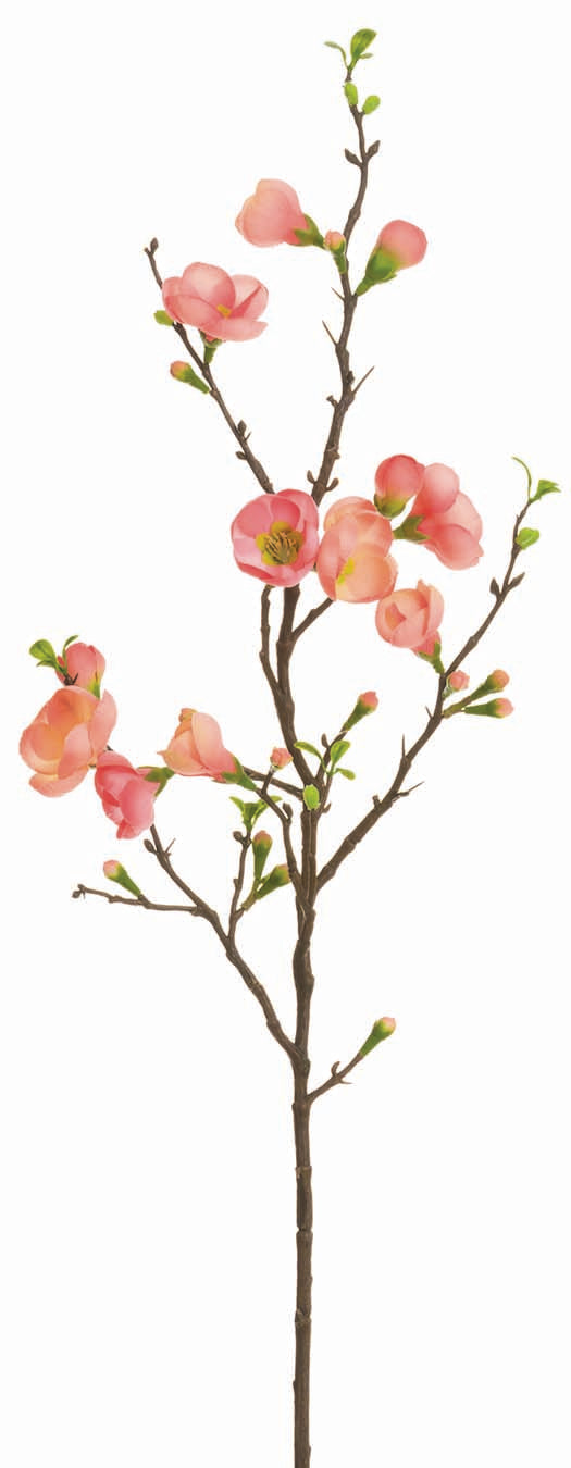 Coral Quince Blossom Spray