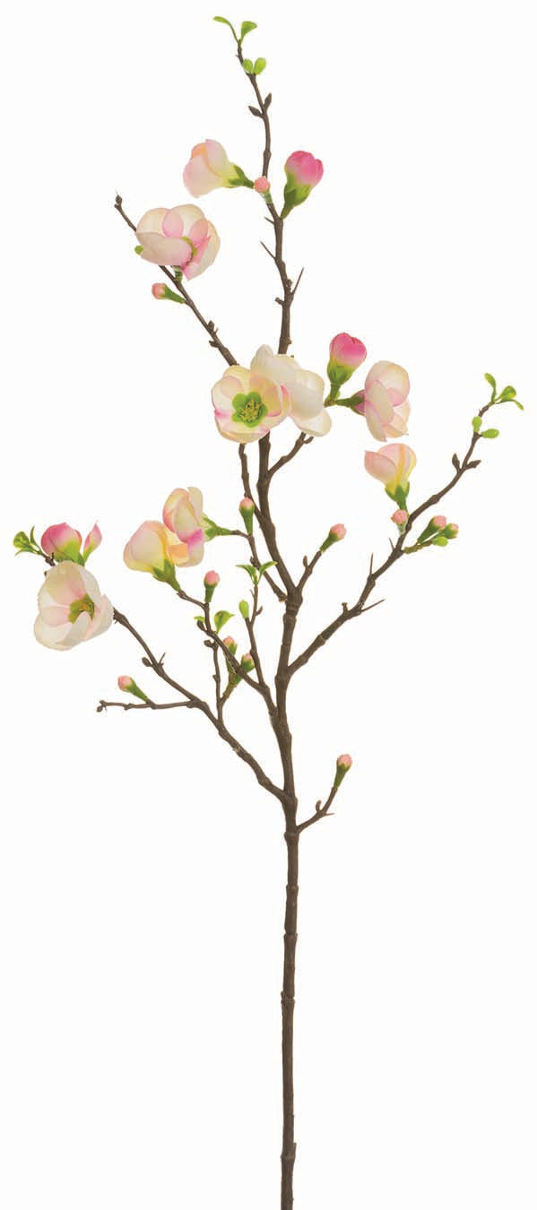 Pink Day Quince Blossom Spray