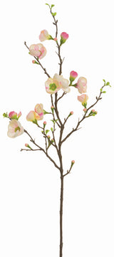 Pink Day Quince Blossom Spray