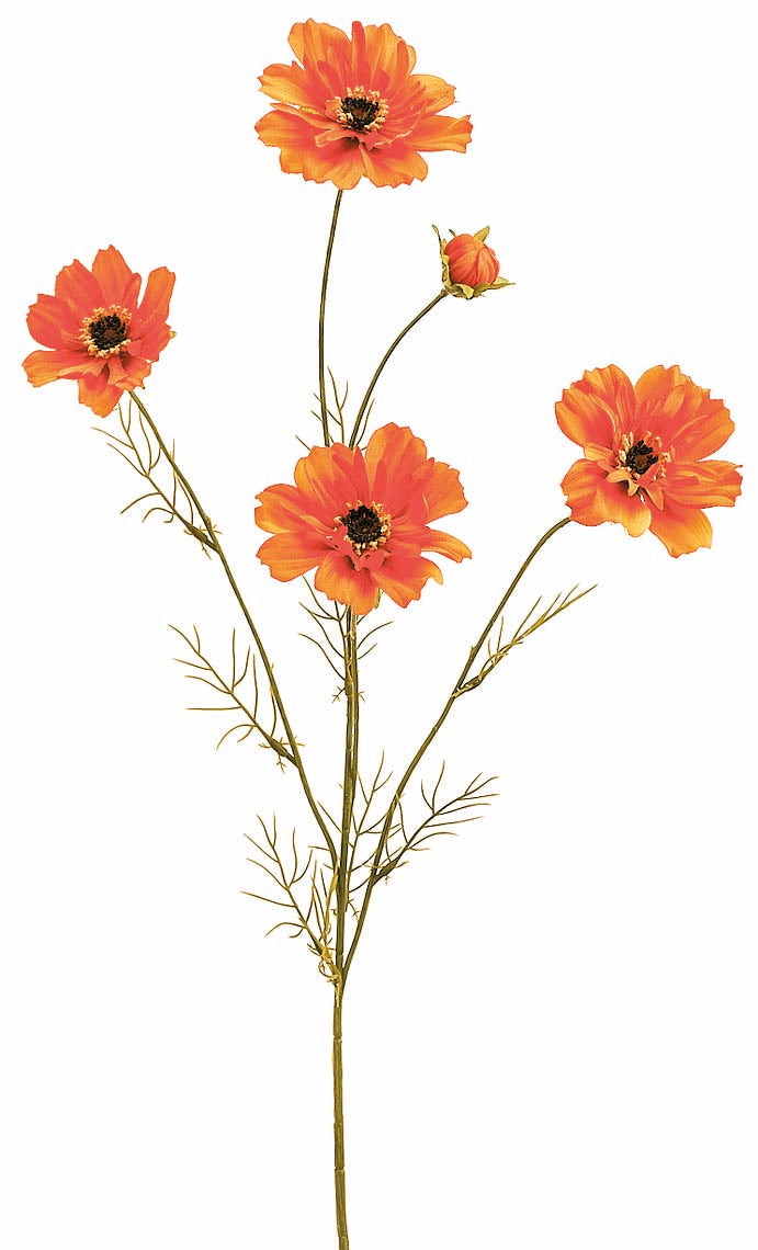 Orange Moment Cosmos Spray