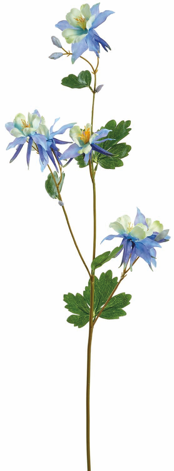 Blue Columbine Spray