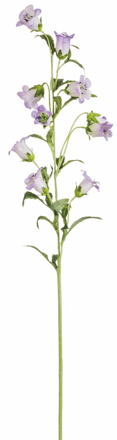 Lavender Campanula Spray