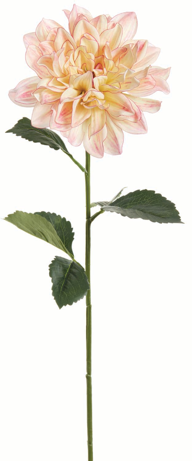 Many Memories Dahlia Spray