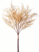 Beige Toffee Pampas Grass Bundle