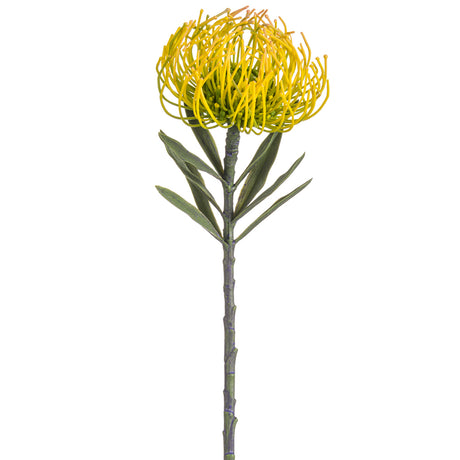Yellow Pin Cushion Protea Spray