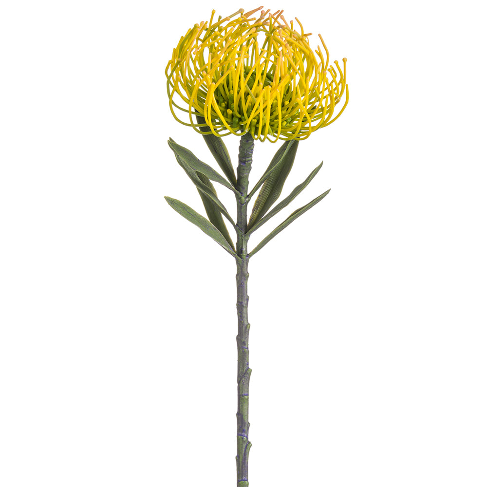 Yellow Pin Cushion Protea Spray