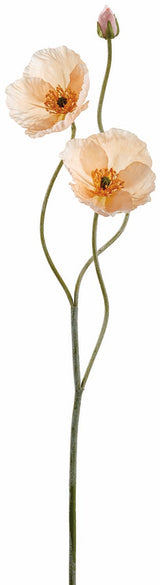 Cherish Poppy Spray