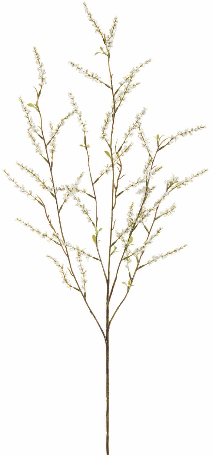 White Spirea Spray