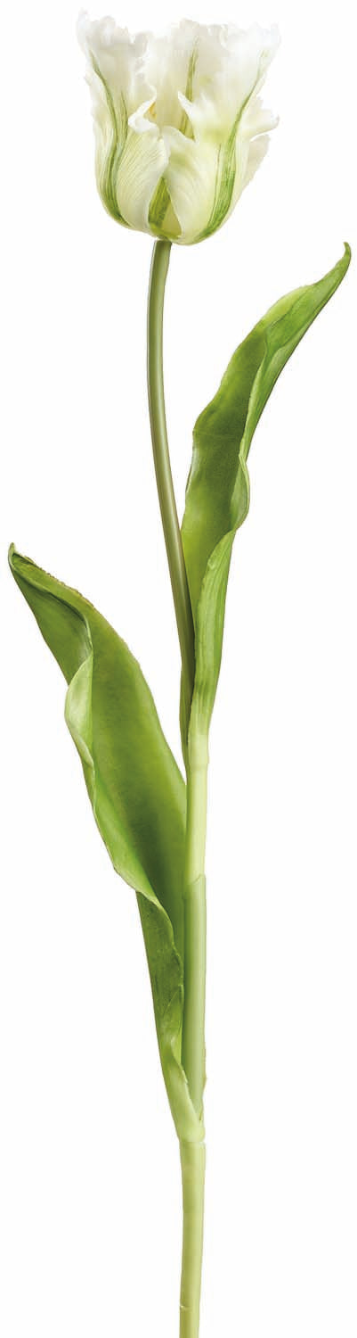 Cream/Green Real Touch Long Stem Tulip