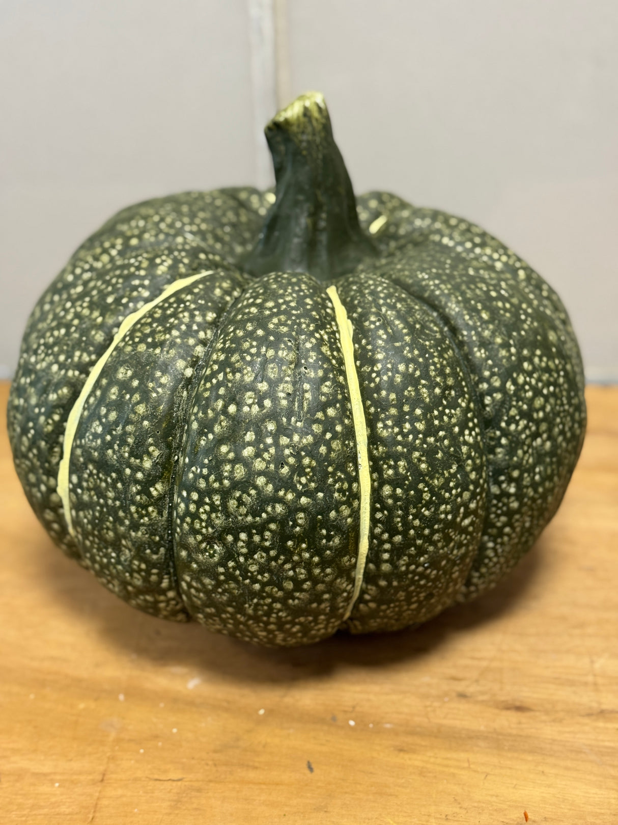 10" Green Spotted Pumpkin