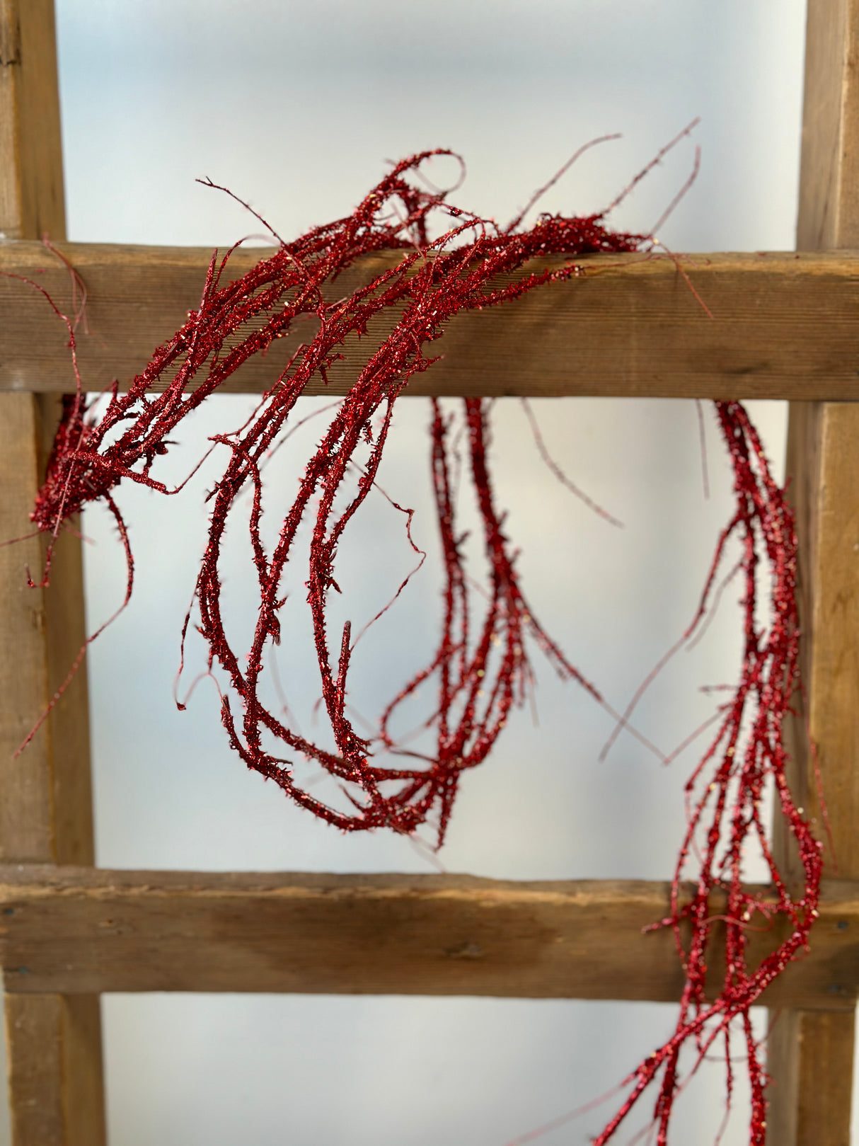 6' Red Glisten Twig Garland