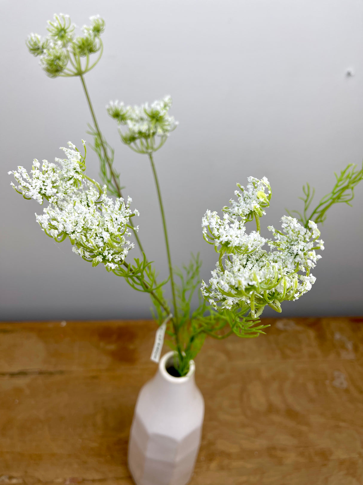 Wild Queen Anne's Lace Spray