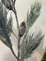 Frosted Pine Spray W/Cones