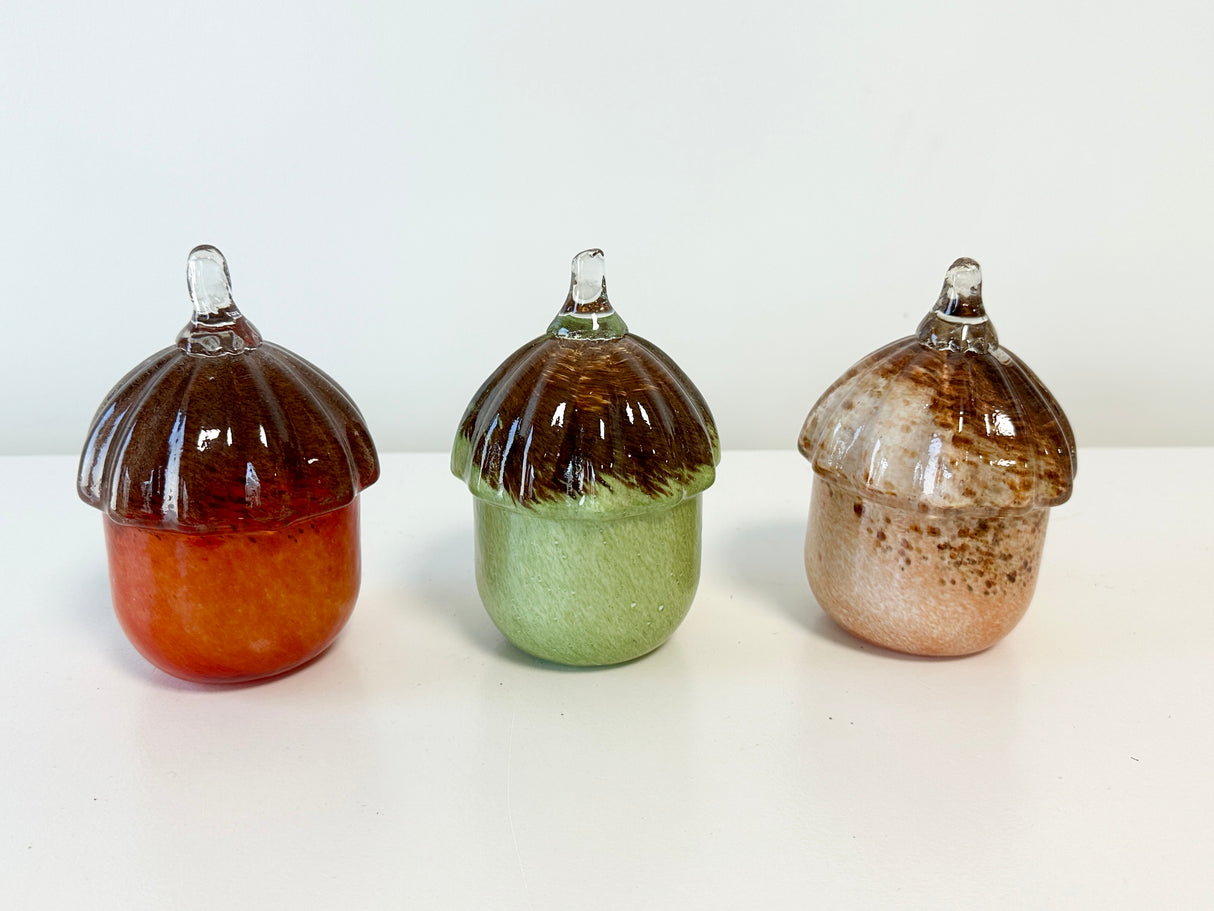 Cider Glass Acorn-3 Colors