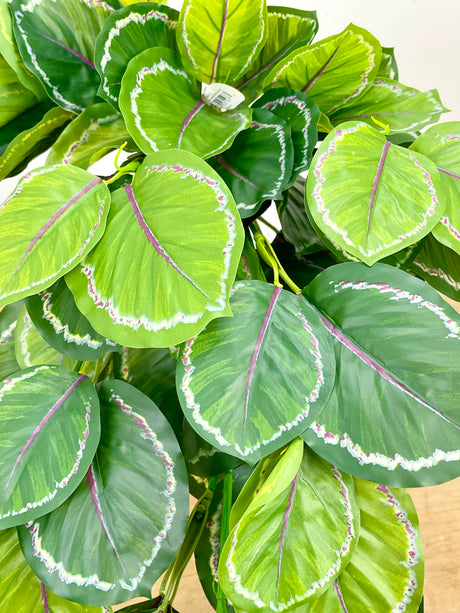 Real Touch Calathea Hanging Bush